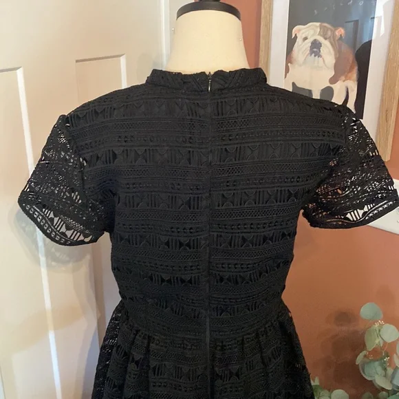 Rachel Parcell Anglaise L Black embroidered overlay fit & flare lined knee dress - Picture 9 of 16